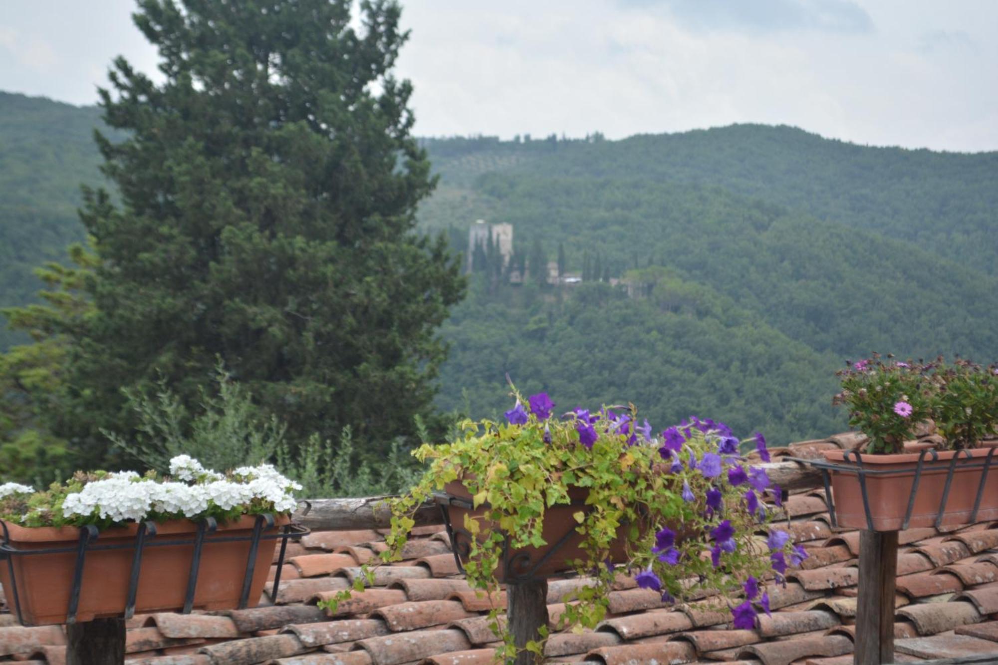 Celle Di Lecchi Nel Chianti Villa San Sano Eksteriør bilde
