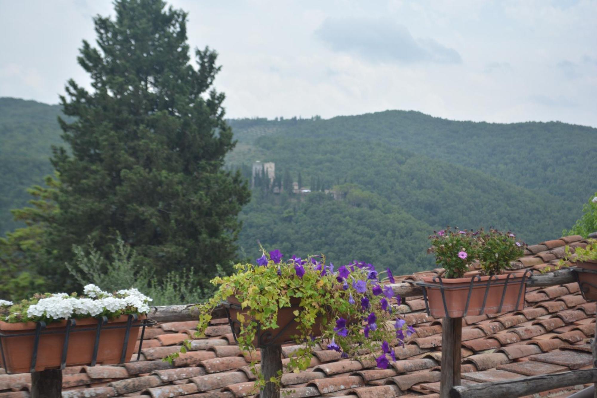 Celle Di Lecchi Nel Chianti Villa San Sano Eksteriør bilde