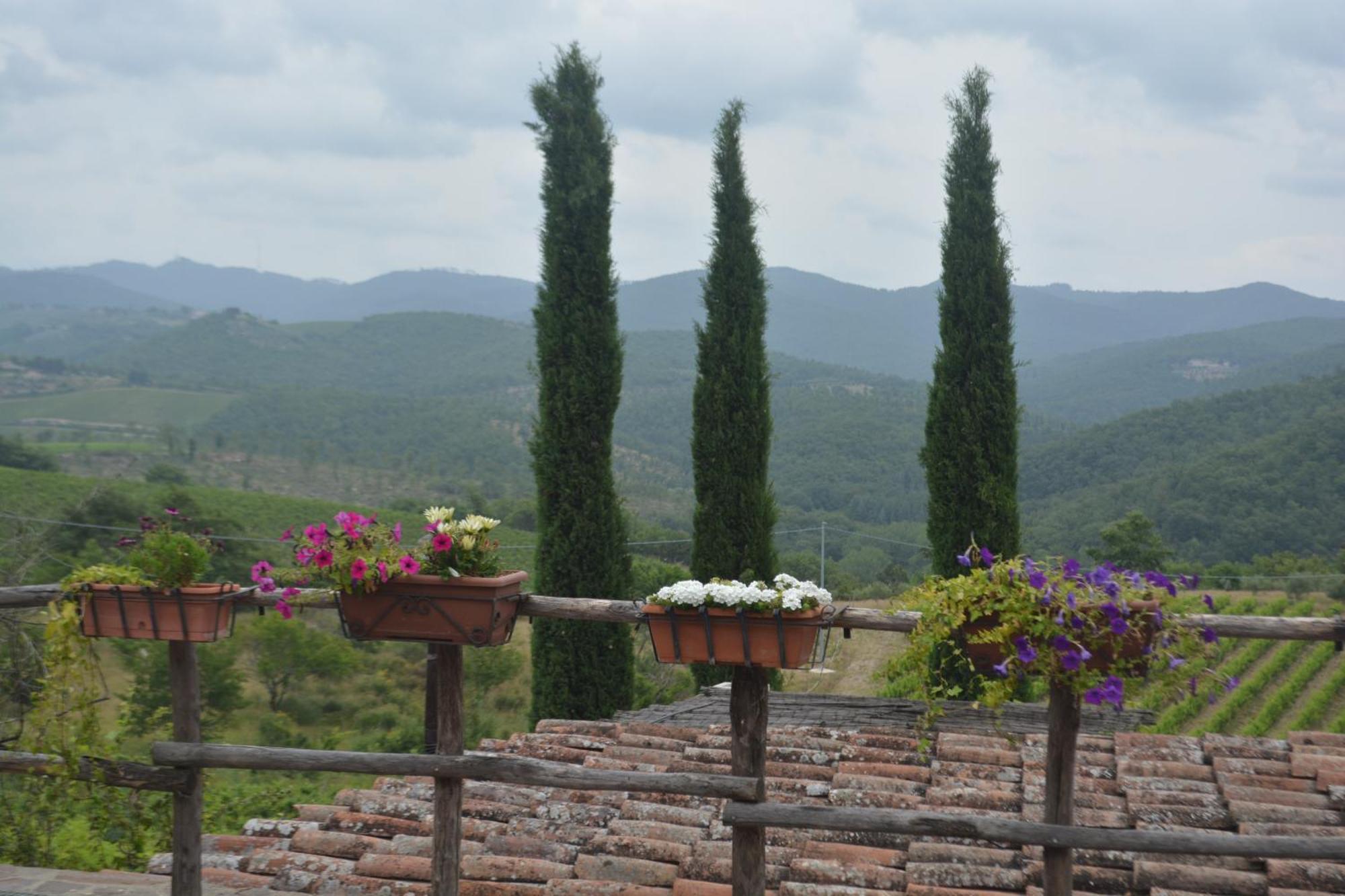 Celle Di Lecchi Nel Chianti Villa San Sano Eksteriør bilde